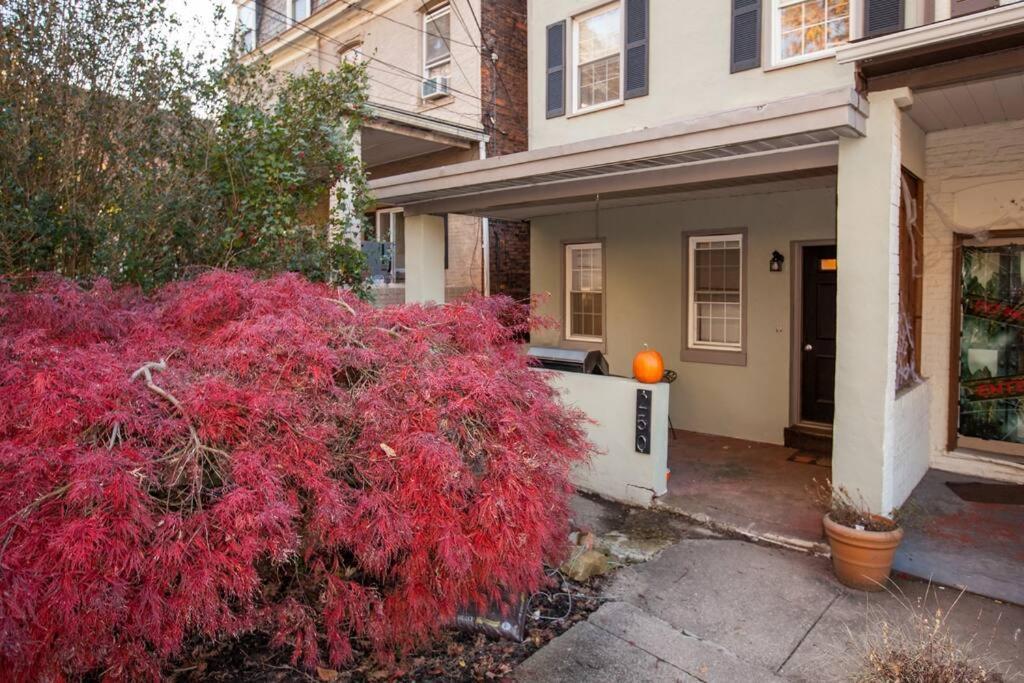 Hip & Cozy To Explore The City Or Catch A Game Pittsburgh Exterior photo